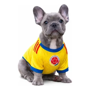 Set de Estampados +Parches